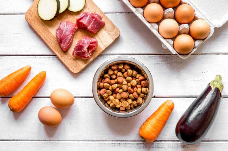 The 15 Best Dog Foods for Colitis [ 2022 Reviews ]