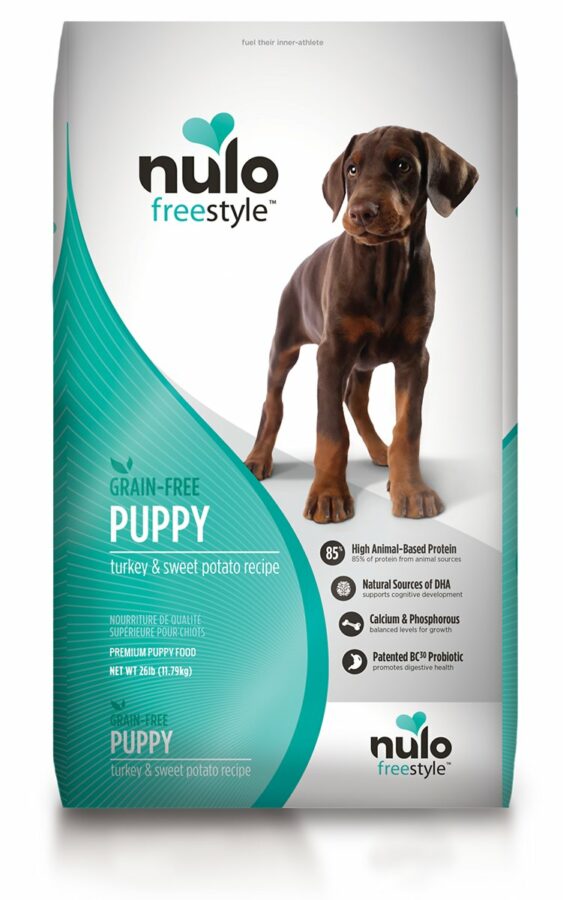 13 Best Dog Foods for German Shorthaired Pointers [ 2022 Reviews ]