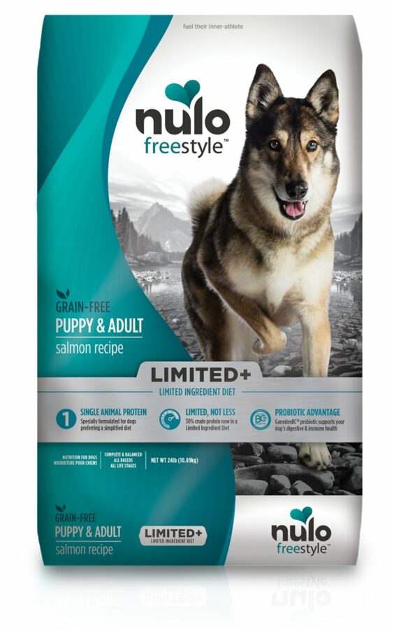 The 8 Best Dog Foods for English Setters 2022 Reviews