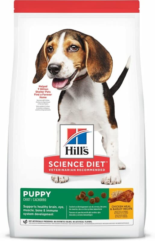 The 7 Best Dog Foods for Whippets [ 2022 Reviews ]