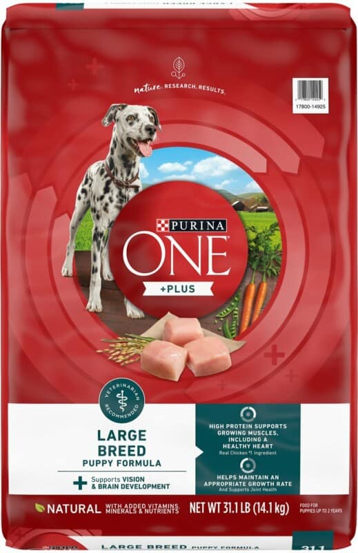 The 15 Best Large Breed Dog Foods [ 2022 Reviews ]