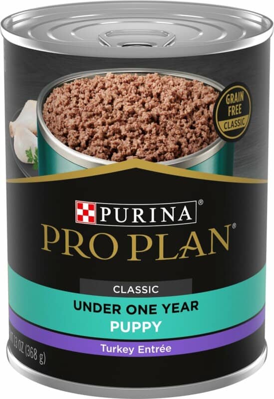 The 13 Best GrainFree Puppy Foods [ 2023 Update ]